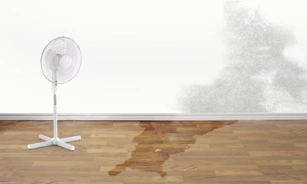 Best Basement water damage restoration  in Dallas, GA