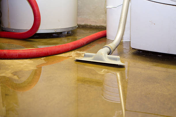 Best Water damage contractors near me  in Dallas, GA