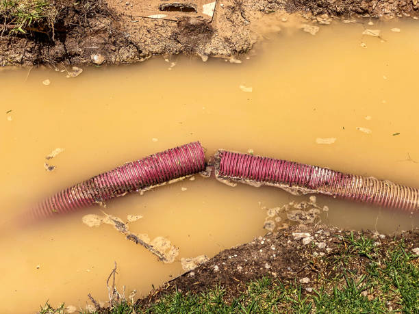 Best Water damage contractors near me  in Dallas, GA