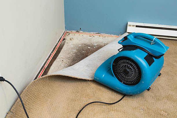 Best Flooded house restoration  in Dallas, GA